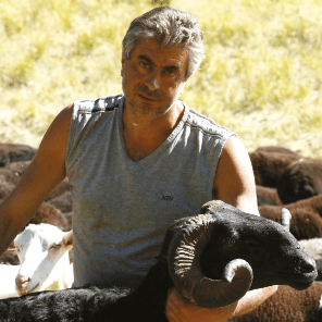 De schapen van&nbsp;Giancarlo