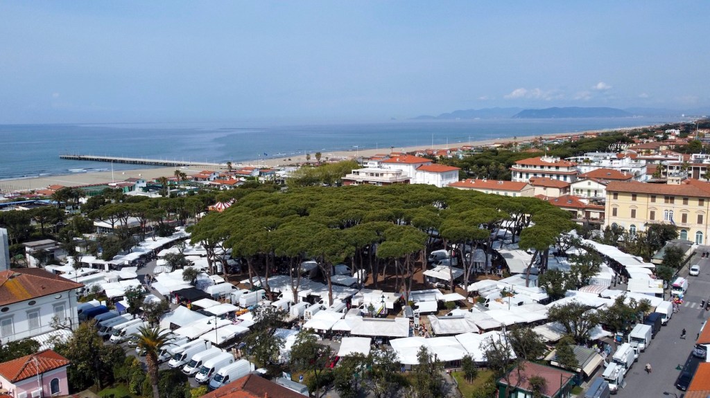 Wanneer gaan we naar de markt?